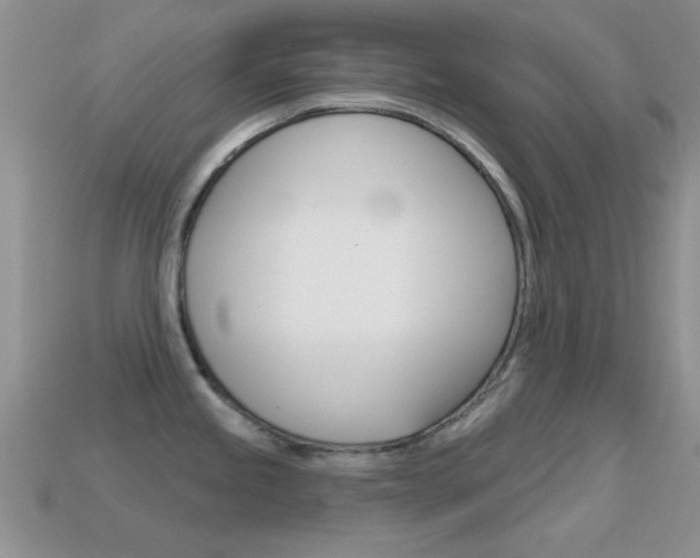 X0000114721245200910211045