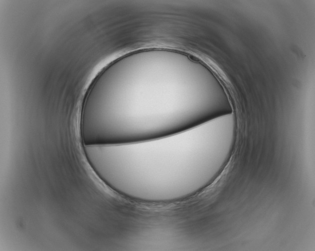 X0000114721246200910211045