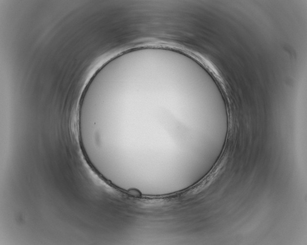 X0000114721247200910211045