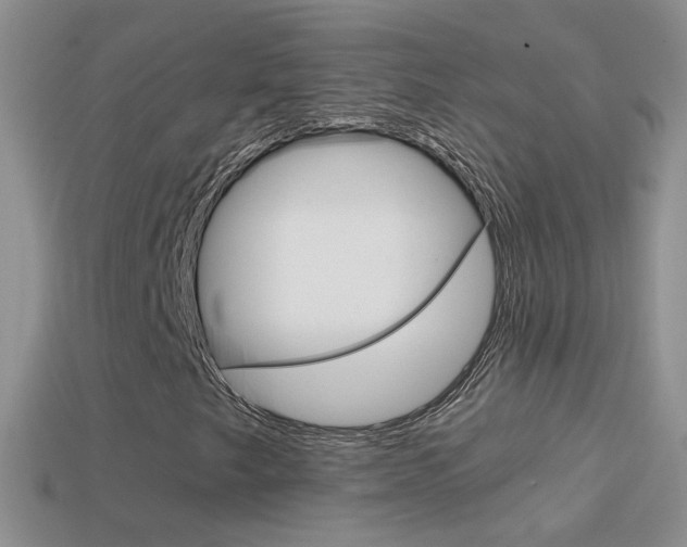 X0000114721249200910211044