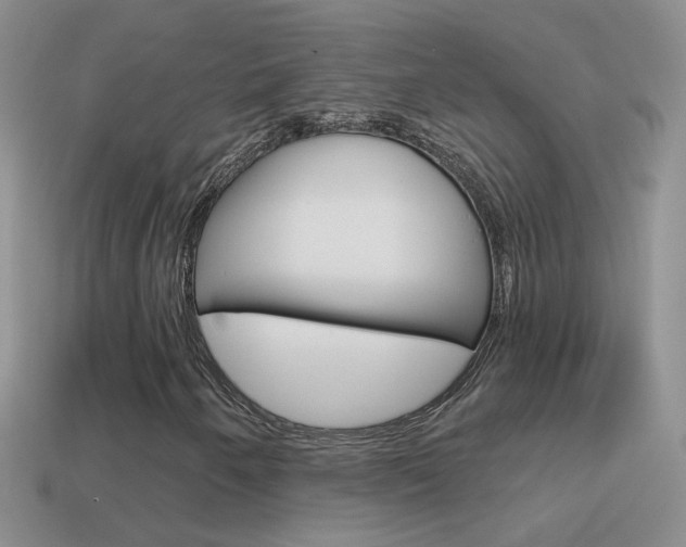 X0000114721250200910211044