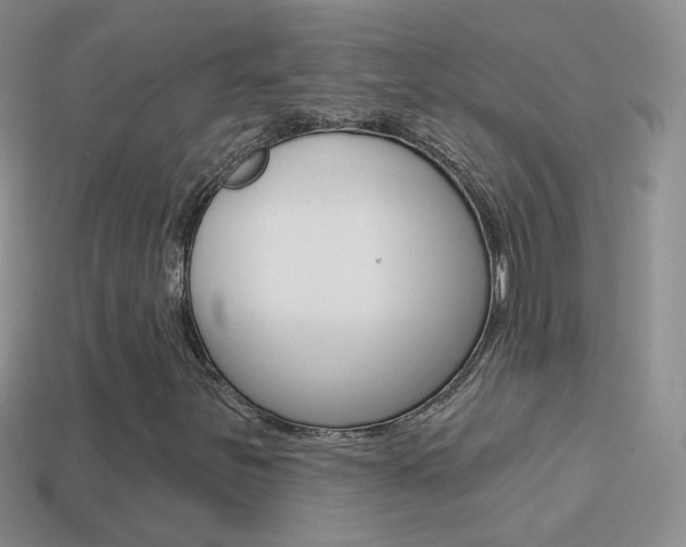 X0000114721251200910211044