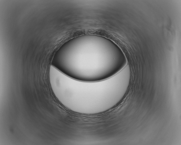 X0000114721252200910211044