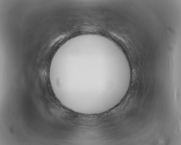 X0000114721254200910211044