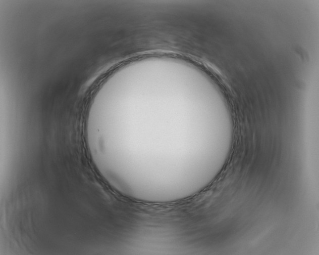 X0000114721255200910211044