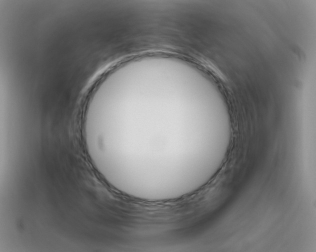 X0000114721256200910211044
