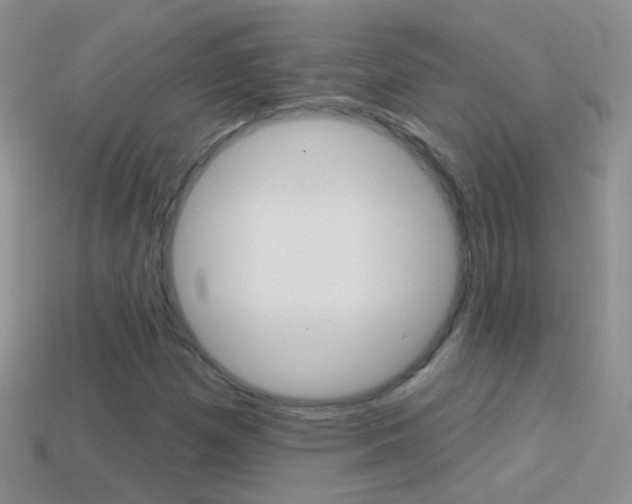 X0000114721257200910211044