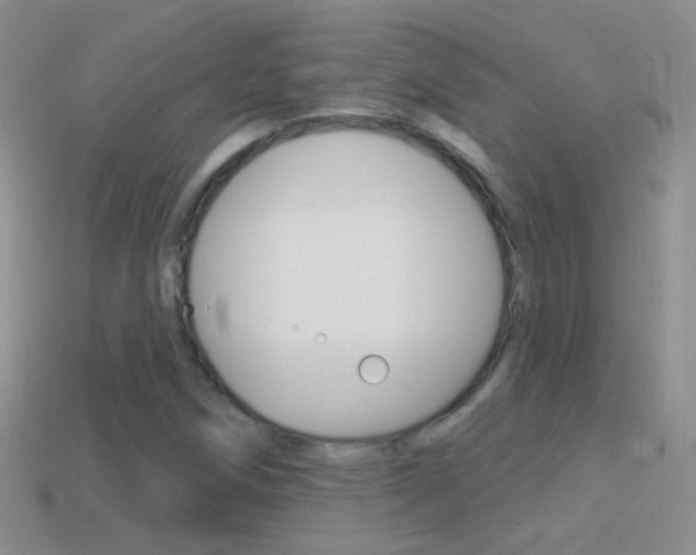 X0000114721258200910211044