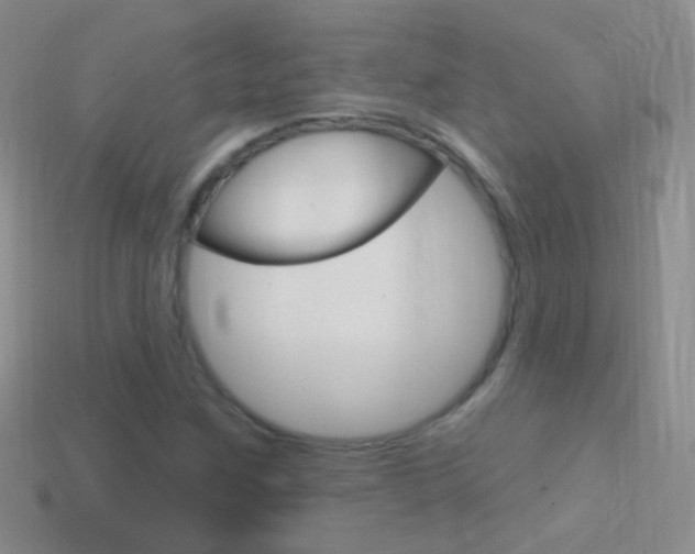 X0000114721259200910211044