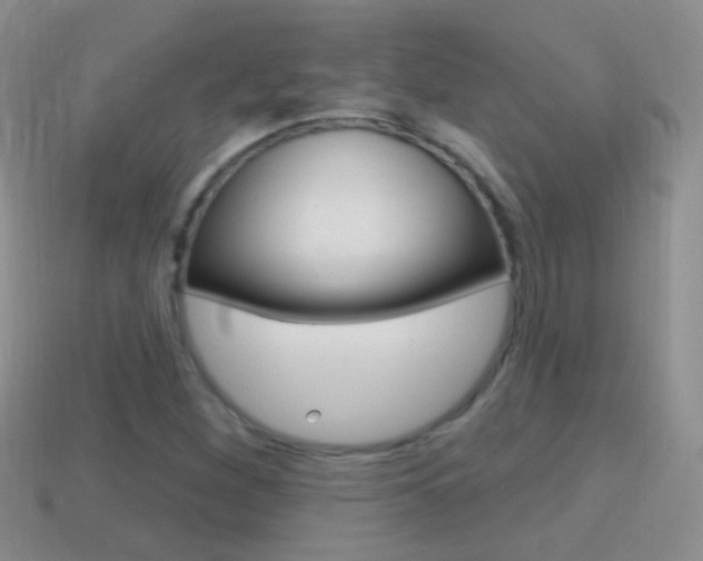 X0000114721260200910211044