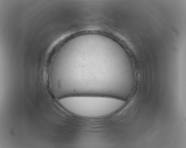 X0000114721262200910211044