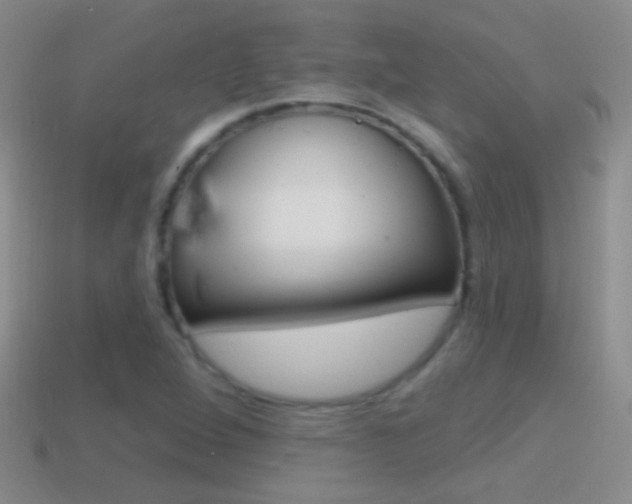 X0000114721264200910211044
