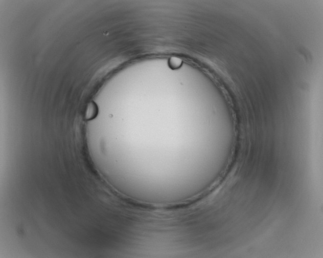 X0000114721265200910211044