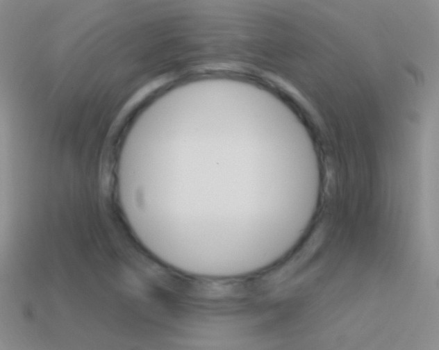 X0000114721266200910211044