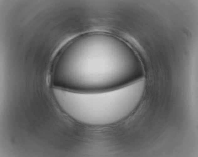 X0000114721268200910211044
