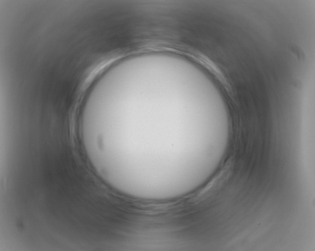X0000114721269200910211044