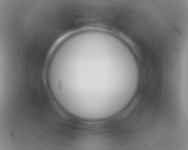 X0000114721272200910211044
