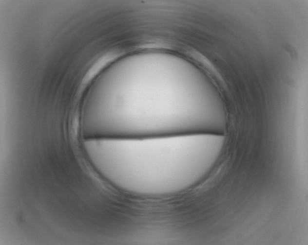 X0000114721274200910211044