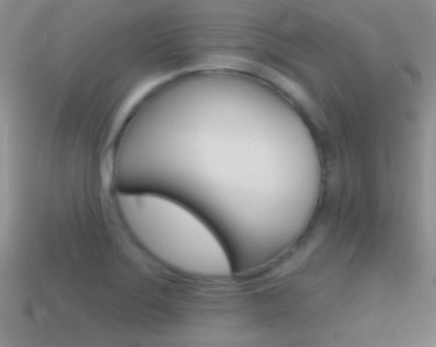 X0000114721275200910211044