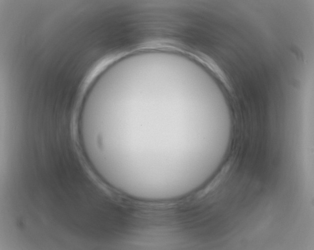 X0000114721277200910211044