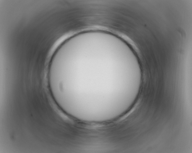 X0000114721278200910211044