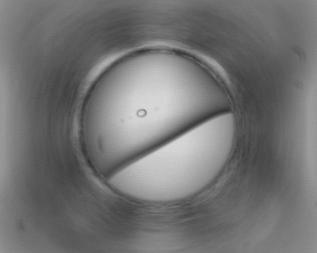 X0000114721279200910211044