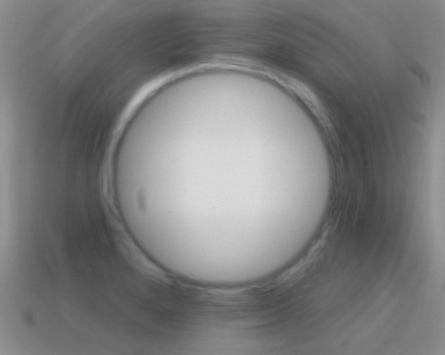 X0000114721280200910211044