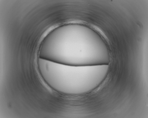 X0000114721282200910211044
