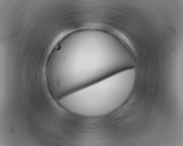 X0000114721283200910211044