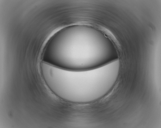 X0000114721284200910211044