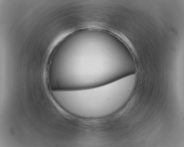 X0000114721285200910211044