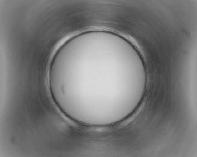 X0000114721286200910211044