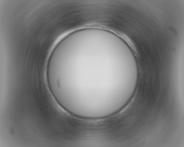 X0000114721288200910211044