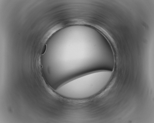 X0000114721289200910211044