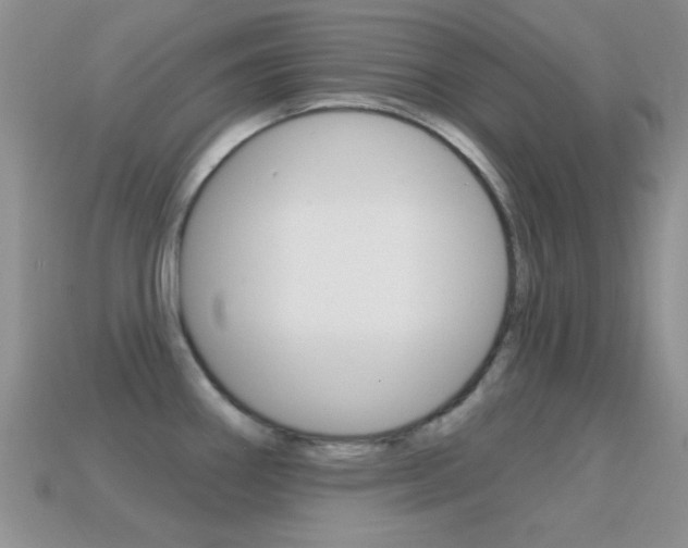 X0000114721290200910211044