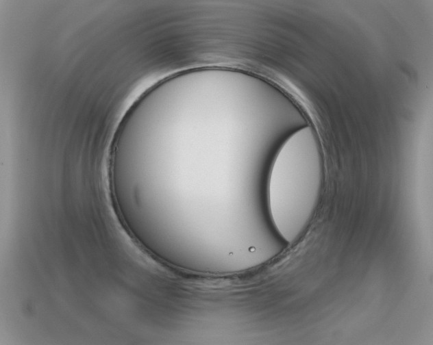 X0000114721291200910211044