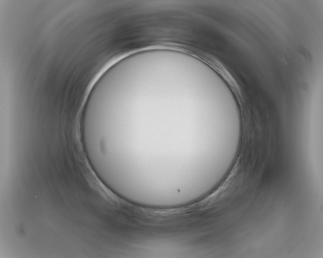 X0000114721292200910211043