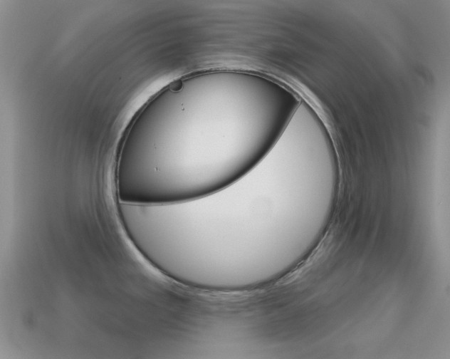 X0000114721293200910211043