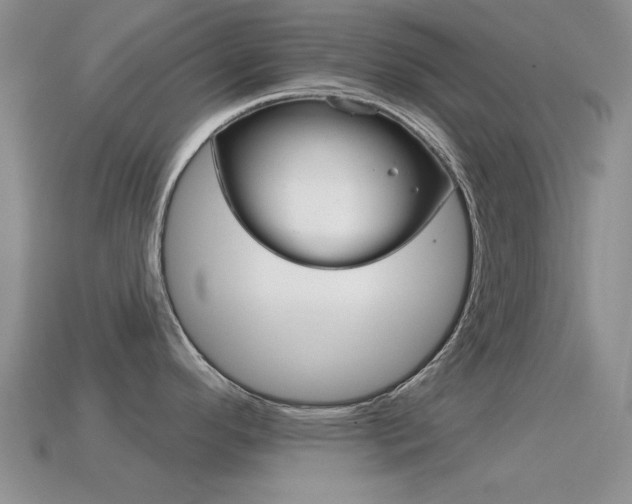 X0000114721296200910211043