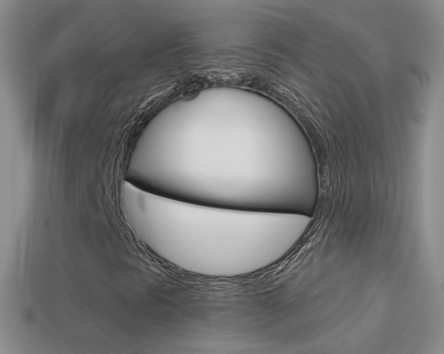 X0000114721297200910211043