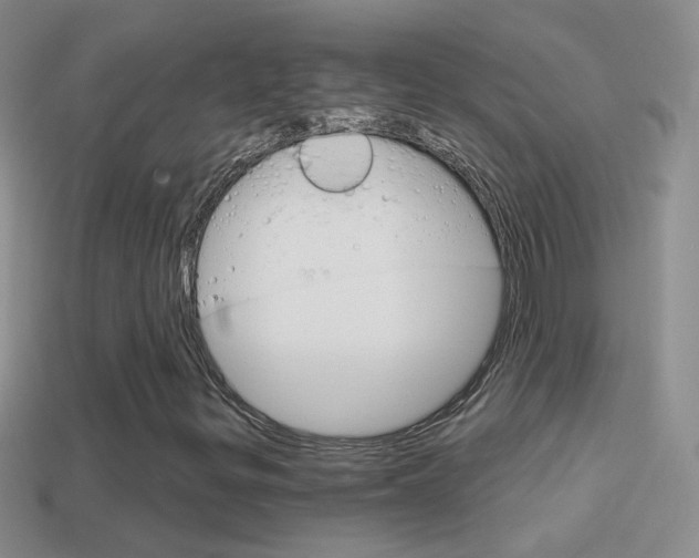 X0000114721299200910211043