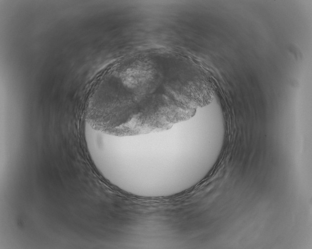 X0000114721301200910211043
