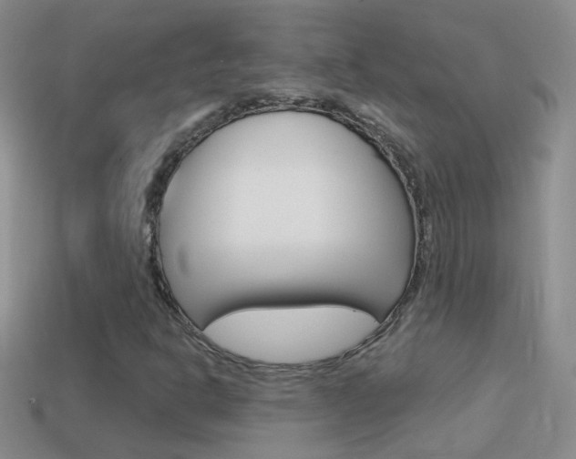X0000114721302200910211043