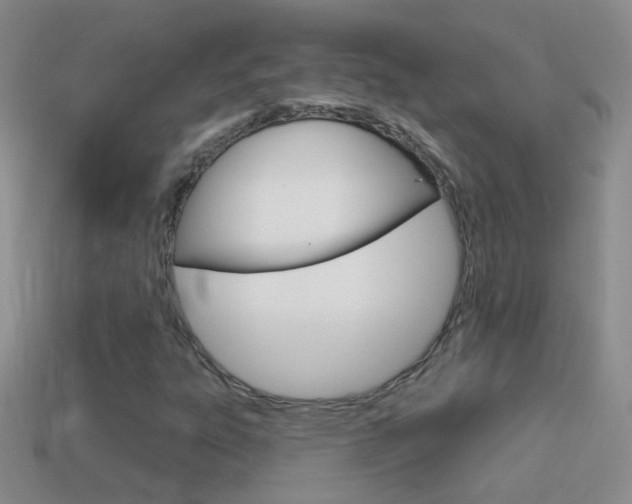 X0000114721303200910211043