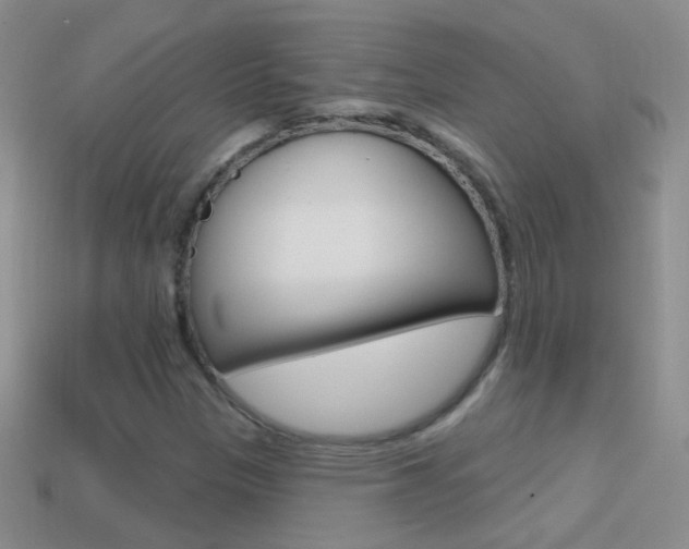 X0000114721305200910211043