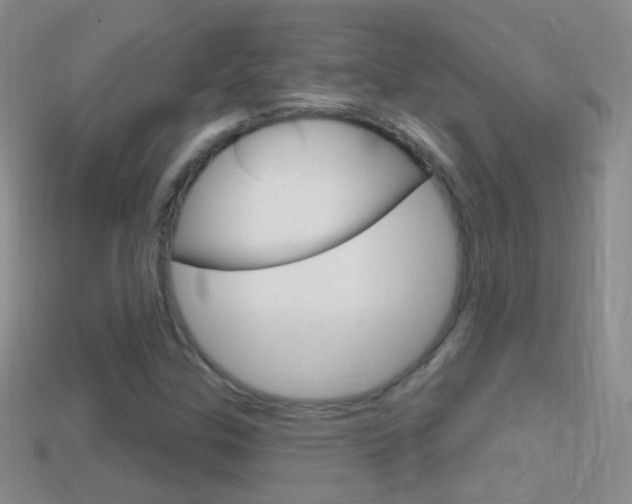 X0000114721307200910211043