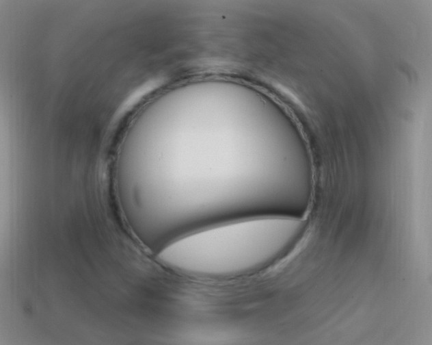 X0000114721309200910211043