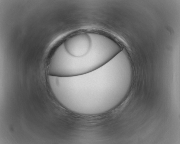 X0000114721311200910211043