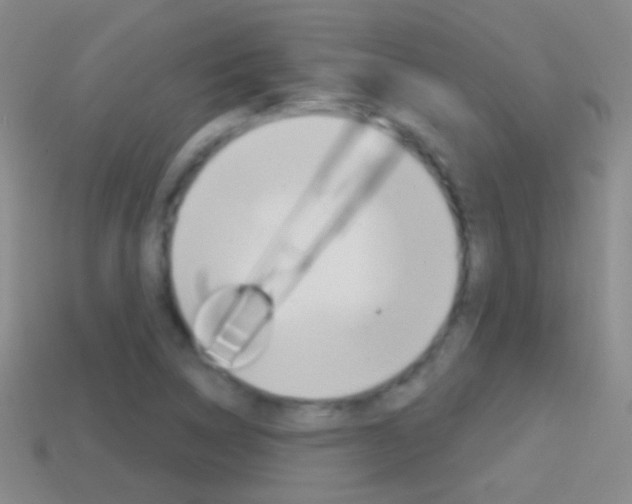 X0000114721314200910211043