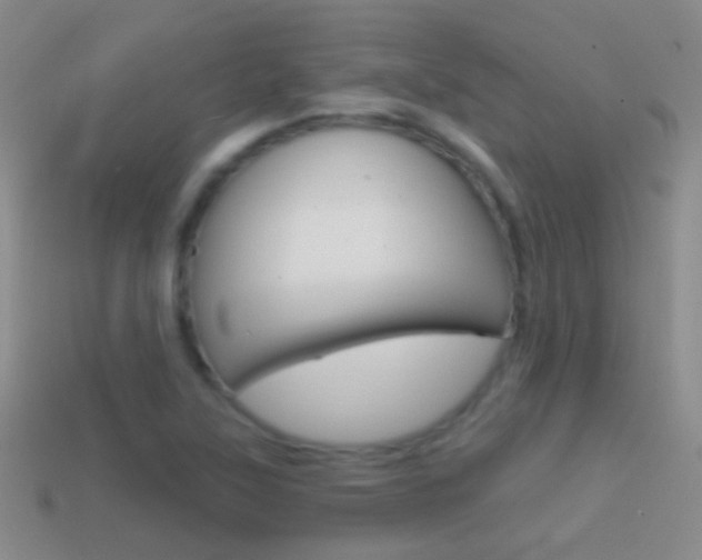 X0000114721315200910211043